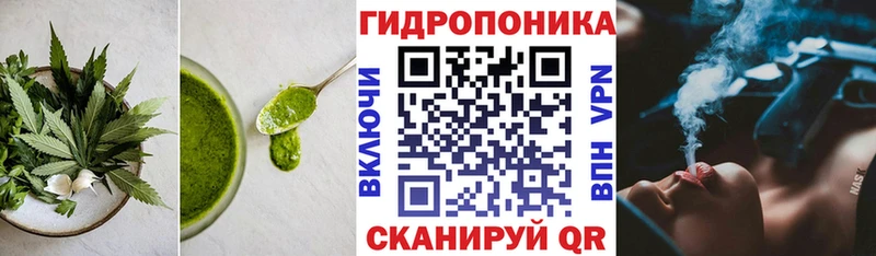 Canna-Cookies марихуана Южно-Сухокумск