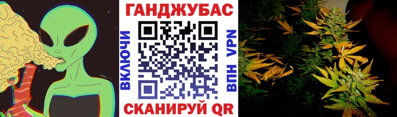 Бошки Шишки индика  Южно-Сухокумск 